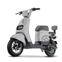 宝岛电动自行车N18锂电48V24Ah星恒锂电长续航80km豪华外观代步首选 物语灰 铅笔灰