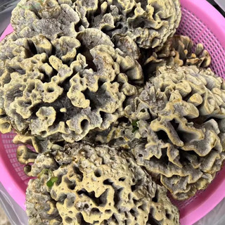 京地达【白色整朵】云南特产野生菌 精选新鲜干巴菌 净重250g 源头直发