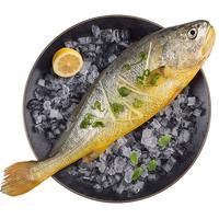 海名威 鲜冻黄花鱼 600g