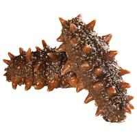 皇家麒麟 即食海参 即食大连刺参单个装辽刺参海参干货水产礼盒净含量500g 7A即食海参 31-40只/斤 一斤装