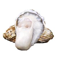 贝司令(BEISILING)乳山福海生蚝【源头直发】鲜活牡蛎海鲜贝类5XL号净重5斤 8+只装 5XL净重5斤