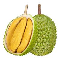 城南堡花马来西亚猫山王榴莲D197冷冻液氮新鲜水果【空运】 净重3-3.5斤保4房