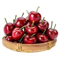 京觅山东大樱桃 J级净重1.8斤 单果8-10g 新鲜水果 源头直发 1.8斤(净重) 【中果】J级
