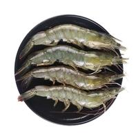 喵和渔鲜活大虾 海白虾 活虾鲜活海捕虾类 海鲜水产不可生食 2斤(净重)