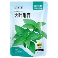 菜禾地 荆芥种子种苗大叶河南罗勒田园蔬菜种籽 大叶荆芥种子约1000粒