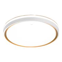 雷士 NVC吸顶灯客厅卧室内家用护眼餐厅调光大主灯具套餐2025灯 （圆款-双面发光）24W三色调光