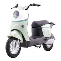 绿源【北京专享】电动自行车ZOF 新国标电动车可上牌 48V24h锂电 成人通勤代步长续航电动车 到门店选颜色（无需驾照）