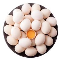 京喜加 逗别三日谷物喂养农家土鸡蛋40g±5g初产蛋现捡现发新鲜营养 4枚