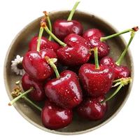 京地达美早大樱桃 JJJJ级净重2.8斤单果32mm+新鲜水果源头直发 2.8斤(净重) 美早 4J级32mm+