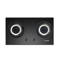 樱雪 燃气灶煤气灶双灶65%热效率 5.2kW天然气嵌入式台式双灶具 玻璃面板煤气炉JZT-Q2520（天然气）