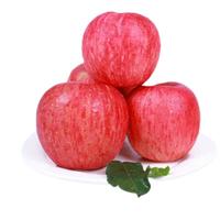 京觅洛川苹果精品手提礼盒一级甄选钻石果24颗大果单果260g+源头直发 【佳品】24颗85mm一级铂金果