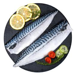 探海日志 冷冻挪威青花鱼片净重2斤小袋包装冷冻鲭鱼日料烤鱼海鲜生鲜