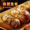 高原云品 5-6cm净重1斤 香格里拉 源头直发