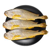 三都港 冷冻三去大黄鱼净重1300g 宁德黄花鱼 生鲜 鱼类 烧烤