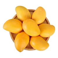 陇百味海南小台芒 应季当季新鲜热带时令水果 小台农芒果整箱南方特产 净重4.5斤大果 单果100g+