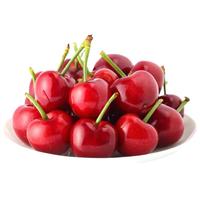 京觅山东烟台大樱桃美早国产车厘子新鲜水果应季4.5斤3J-30-32mm