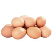 CHENGNANBAOHUA/城南堡花 散养土鸡蛋 蛋类 10枚 0.4kg