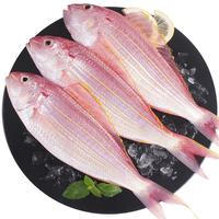 哆鲜生 国产海钓金线鱼 400g/袋