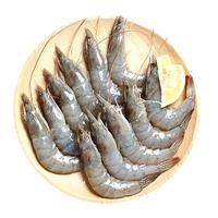 鲜京采 冰鲜大海白虾 300g 约12-18只