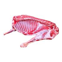  谷开元 新鲜现宰 宁夏滩羊肉  精品山羊整半只 礼盒装 10斤