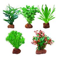 疯狂水草 crazy aquatic plants鱼缸水草植物直接入缸火山石鱼缸造景套餐20-40cm缸源头直发a