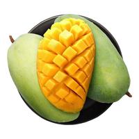 元珍鲜诚 海南金煌芒 新鲜水果 热带大青 芒果 整箱现摘当季水果 净重4.5斤(单果200g+)