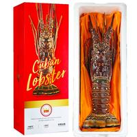 缤鲜 鲜冻古巴龙虾 2-2.5斤 大龙虾1只净重 年货海鲜礼盒-源头直发
