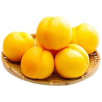 京觅山东黄金油桃 净重1.5斤 单果100g+ 新鲜采摘 源头直发