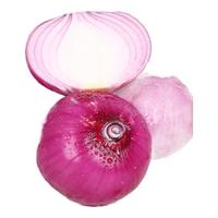 佑嘉木 紫皮洋葱 新鲜现挖新鲜蔬菜源头直发 带箱9斤净重8-9斤