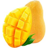 鑫果滋 金煌芒 广西/海南芒果特大纸核芒果水仙芒新鲜水果礼盒当季 5斤【礼盒装】 特大果【单果400-600g】