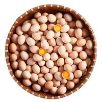 猴王山新鲜农家谷物蛋 山林散养柴鸡蛋 40枚1600g