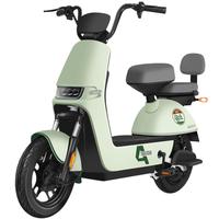 宝岛新国标电动车自行车电瓶车超长续航成人两轮代步车小型踏板车 暖绿色 12Ah超威铅酸电池/续航约45KM
