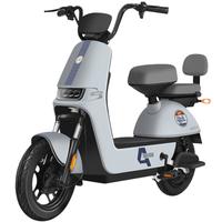 宝岛新国标电动车自行车电瓶车超长续航成人两轮代步车小型踏板车 星空灰 24Ah至尊S级锂电池/续航约75KM