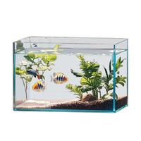 坤宁王 金晶超白玻璃鱼缸桌面造景小鱼缸家用客厅裸缸一体缸20*14*16cm