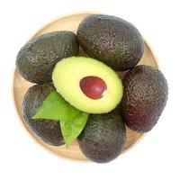 橙小士牛油果水果墨西哥秘鲁巨无霸鳄梨应当季宝宝水果辅食 4粒中果装 单粒130-160【g】