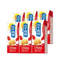 六个核桃红枣核桃乳植物蛋白饮料250ml*24盒整箱装 红枣250ml*6盒