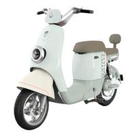 绿源（Luyuan）新国标电动车自行车ZKT可拆卸锂电电瓶车成人代步车新国标成人电动自行车 青黛绿-48V24AH锂电-续航80公里