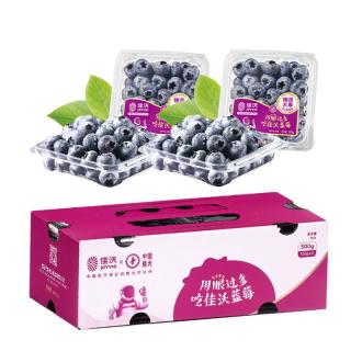 佳沃 云南蓝莓18mm+ 4盒装 约125g/盒 新鲜水果礼盒