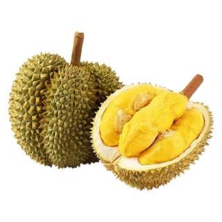 晨樾优选 泰国金枕榴莲鲜果 2-3斤（单个）