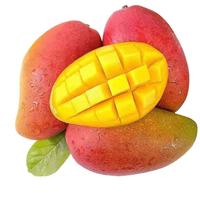 京觅海南贵妃芒 3斤装单果150g起 新鲜水果 源头直发