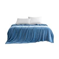 惠寻 京东自有品牌 法兰绒毯子 午睡毯毛毯空调毯 100x140cm 天空蓝 【法兰绒午睡毯】天空蓝