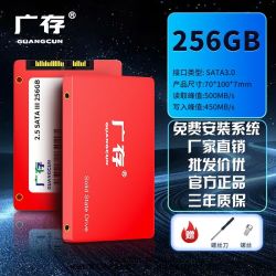 广存 256GB固态硬盘联想神州宏基笔记本适用Sata3.0 2.5寸