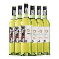 麦动云汇南非梵劳伦家族酒庄白诗南白葡萄酒Chenin Blanc原瓶干白 莎娜湾白诗南半甜白整箱6支装
