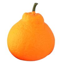 煦琪解压玩具捏捏乐仿真丑橘粑粑柑水果减压整蛊发泄创意模型