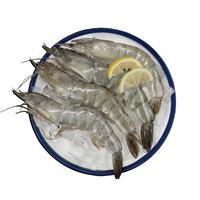 深海头等舱厄瓜多尔白虾净重3.3斤/盒盐冻工艺30-40规格 50-66只/盒源头直发 厄瓜多尔白虾30/40规格 1..65kg