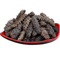 千舟岛珍品淡干海刺参38 90-100只较小实惠250g