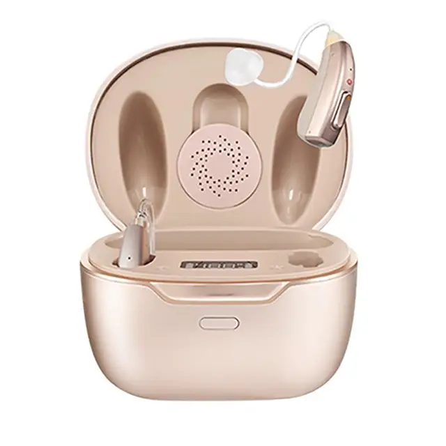 iFLYTEK 科大讯飞 VAN 610 耳背式助听器 星海版 双耳