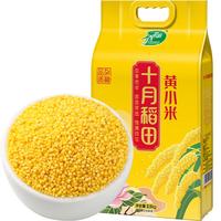 !十月稻田黄小米2.5kg五谷杂粮粗粮 小米粥小黄米大米