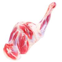 阿西娅甘肃靖远 滩羊羔羊腿 生鲜羊肉原切烧烤火锅净含量3斤源头直发 靖远滩羊 羊前腿3斤