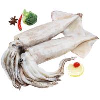 东上御品 山东 大鱿鱼净重3斤 约3-5条铁板鱿鱼 烧烤海鲜食材-源头直发